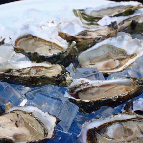 Taylor Martino Files Lawsuit Against AL Department Of Conservation On Behalf Of Local Oyster Farmers