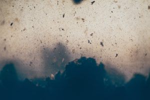 Unsuspecting Patients Exposed to Deadly Mycobacteria Infection